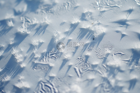 冰雪覆盖的地上的印记图片