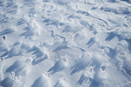 冰天雪地图片