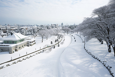 迷人的雪景图片