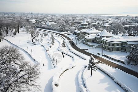 冬日里的白雪图片