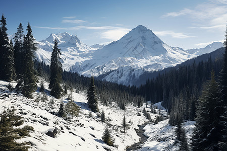 冬日冰封的山脉图片