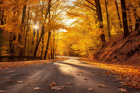 秋天的马路背景图片
