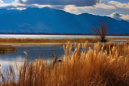 秋季静谧的湖泊景观图片