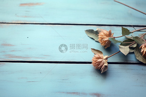 木板上的枯萎花朵背景图片