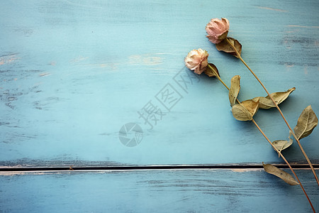 复古木板上干枯的花朵背景图片