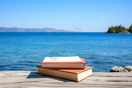 夏季海岸上的阅读时光图片