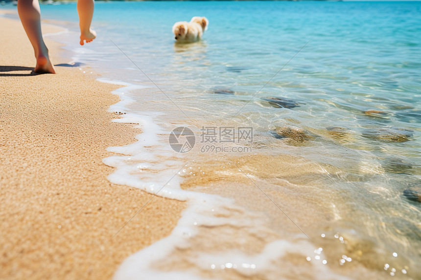 夏季海岸上清澈的海水图片