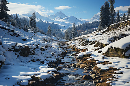 冬季白雪覆盖的雪山景观图片