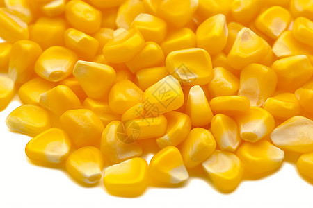 健康营养的玉米粒背景图片