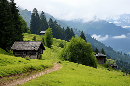 乡村的房屋木屋图片