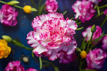 花海中的鲜花图片