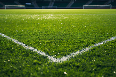 一片绿草的足球场图片