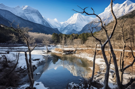 山脉中的河流和树木图片