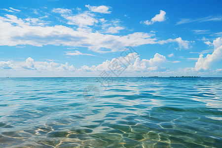 海里游泳浪漫海岸背景