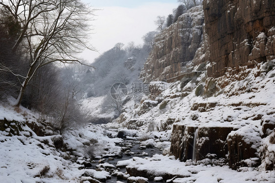 冬日山谷中的冰雪风景图片