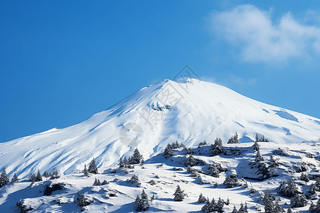 高山上的冰雪图片