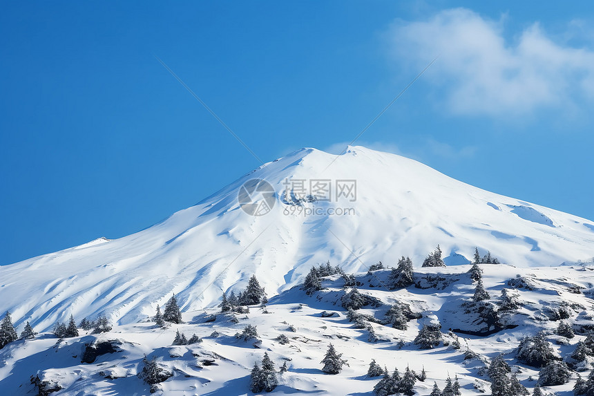 高山上的冰雪图片