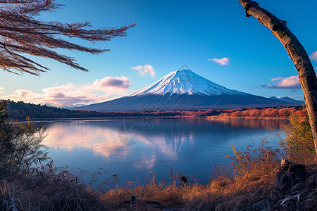 雪山下的湖泊图片