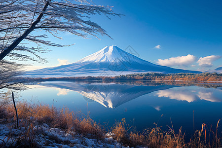 美丽的雪山湖泊图片