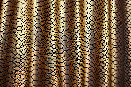 蟒蛇纹金色窗帘背景图片