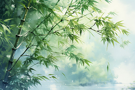 水彩风格的竹林图片