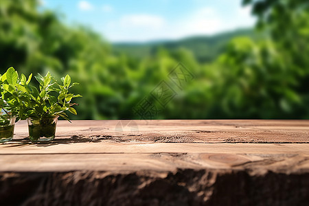 树桩上植物图片