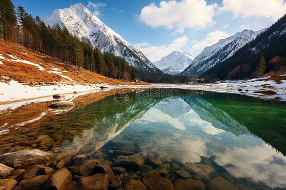 雪山下的树林湖泊图片