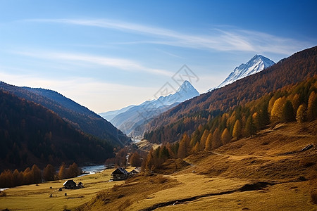 秋日山谷里的草地图片