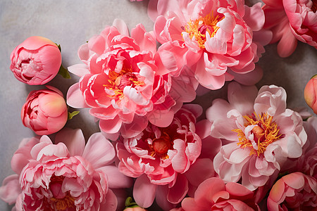 花团锦簇的牡丹花图片