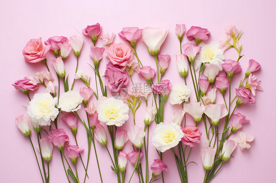 粉色桌面上的花束图片