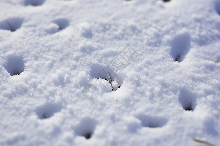 雪地上的脚印图片