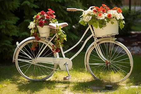 草坪上停放的鲜花自行车图片