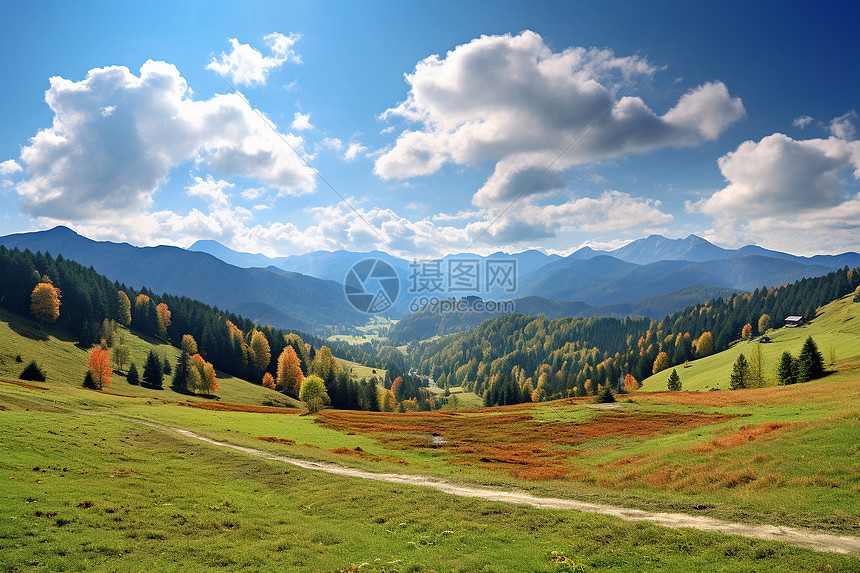 仲夏山谷风光图片