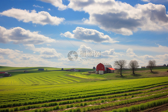美丽宁静的乡间农田景观图片