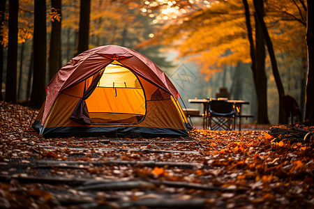 秋季惬意的林间露营图片