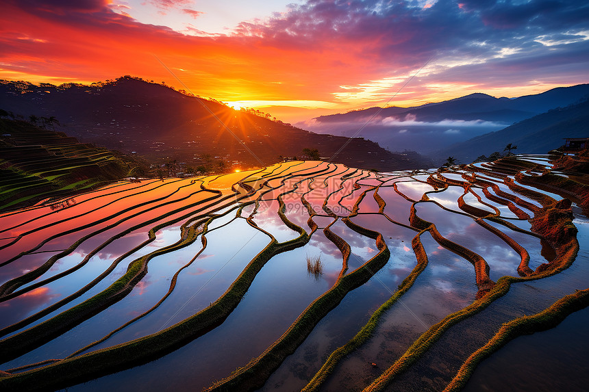 夕阳下壮观的梯田景观图片