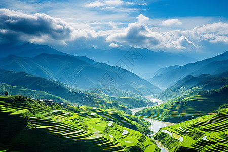 丰收梯田风景如画的梯田景观背景