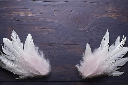 创意地板上的羽毛翅膀背景图片