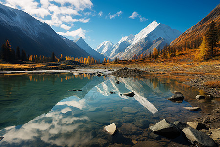 秋季静谧的高山溪流景观图片