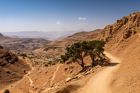 辽阔的沙漠戈壁景观图片