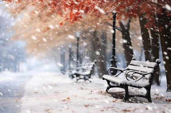 冬日雪中的梦幻公园图片