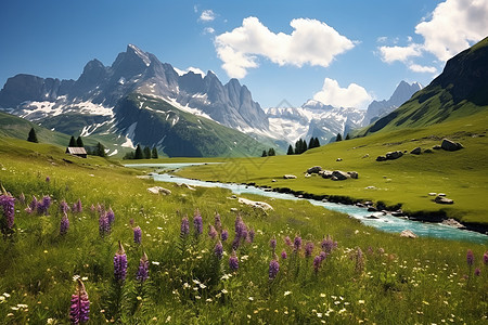 美丽壮观的阿尔卑斯山脉景观图片