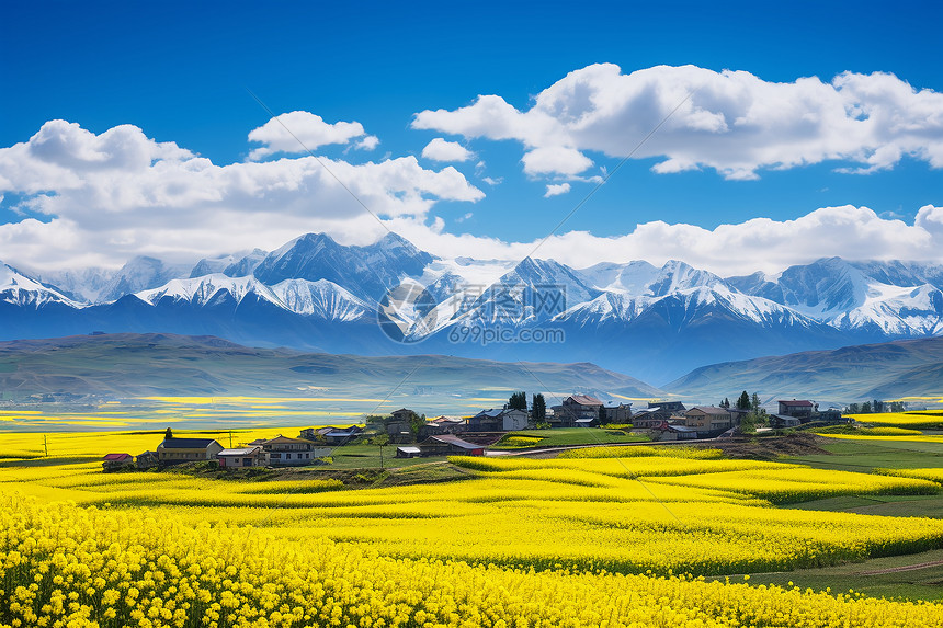 山花烂漫乡村风光图片