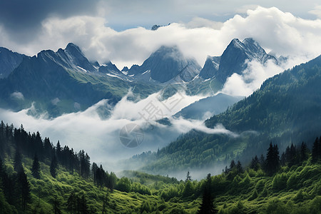 蓝天白云中的山脉与森林图片