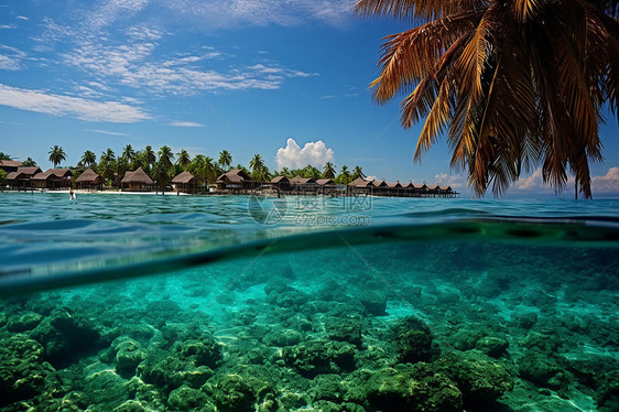 热带岛屿和清澈的大海图片