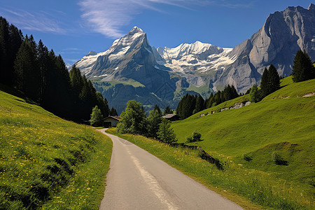 乡村道路边的风景图片