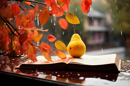 秋天雨中的叶子和水果背景图片