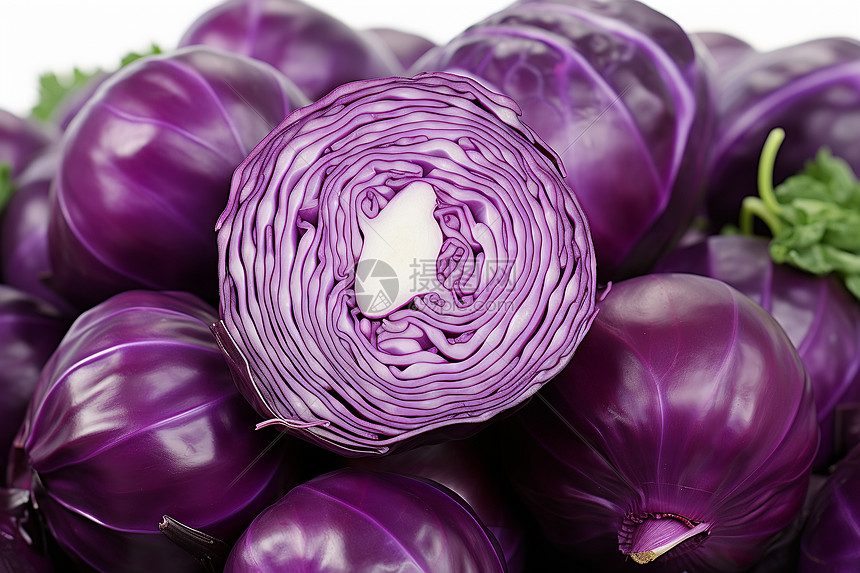 紫色卷心菜图片