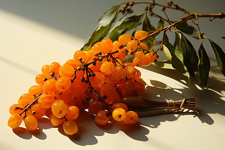 一串橙色浆果图片