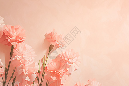 粉色康乃馨背景背景图片